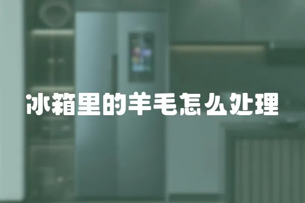 冰箱里的羊毛怎么處理