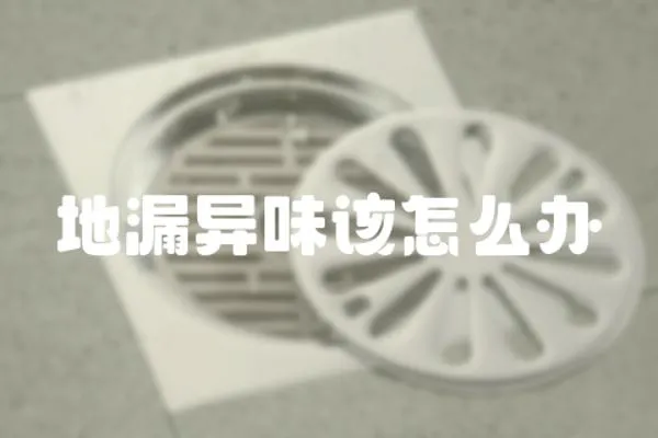 地漏異味該怎么辦