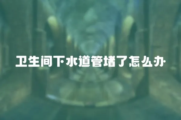 衛生間下水道管堵了怎么辦