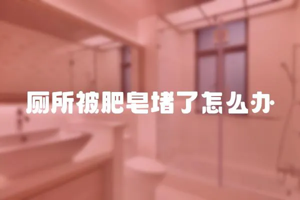 廁所被肥皂堵了怎么辦