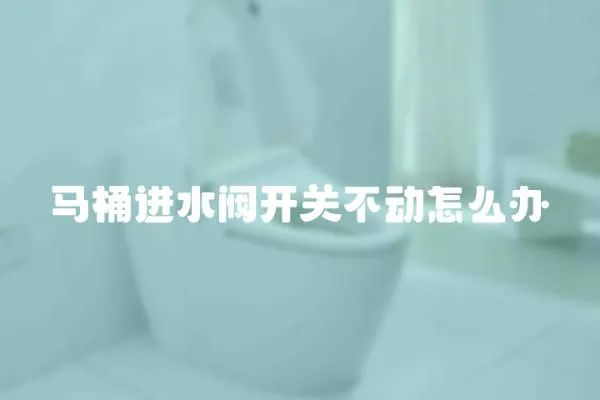 馬桶進水閥開關不動怎么辦