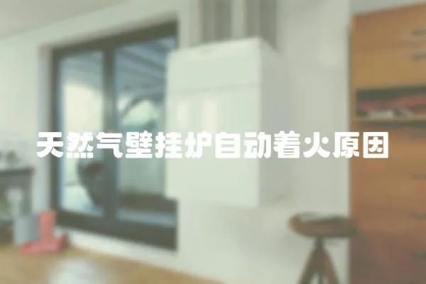 天然氣壁掛爐自動著火原因