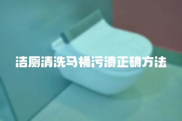 潔廁清洗馬桶污漬正確方法