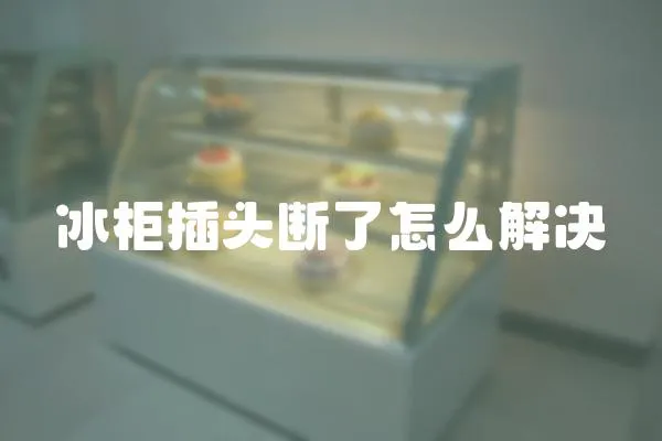 冰柜插頭斷了怎么解決