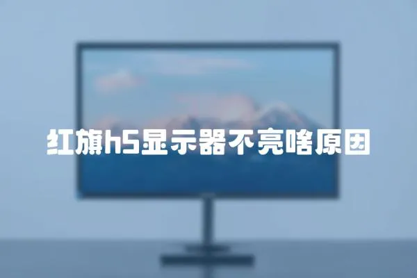 紅旗h5顯示器不亮啥原因