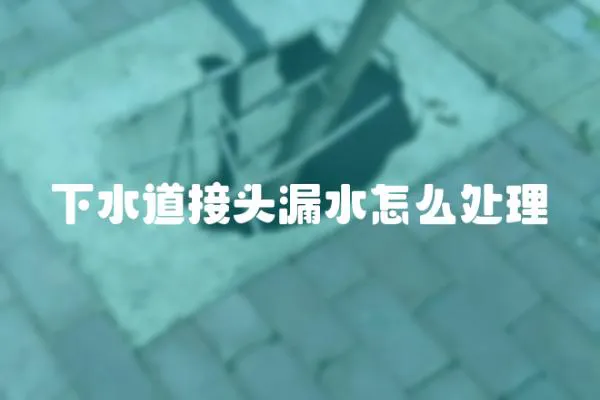 下水道接頭漏水怎么處理
