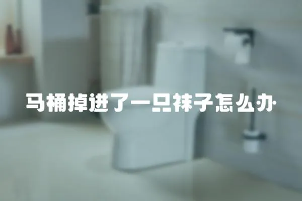 馬桶掉進了一只襪子怎么辦