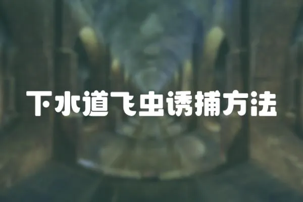 下水道飛蟲誘捕方法