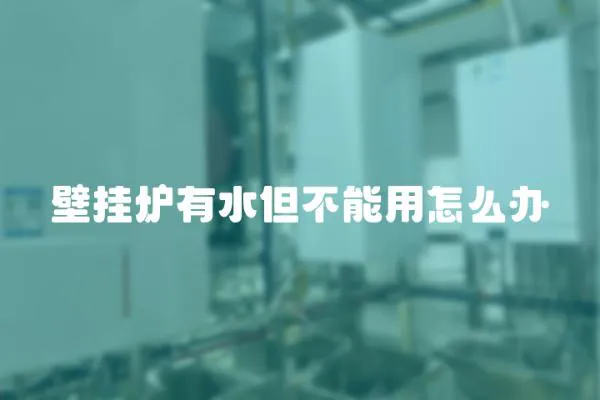 壁掛爐有水但不能用怎么辦