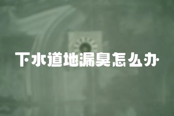 下水道地漏臭怎么辦