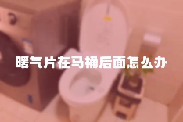 暖氣片在馬桶后面怎么辦
