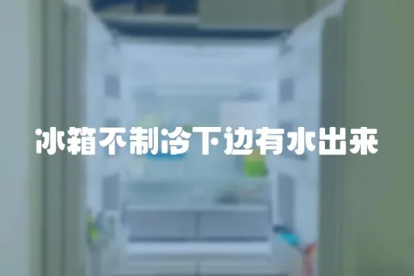 冰箱不制冷下邊有水出來