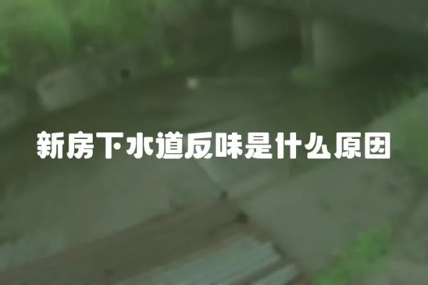 新房下水道反味是什么原因