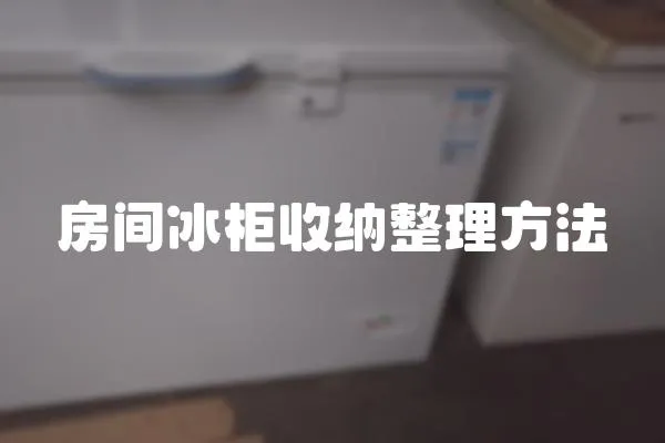 房間冰柜收納整理方法