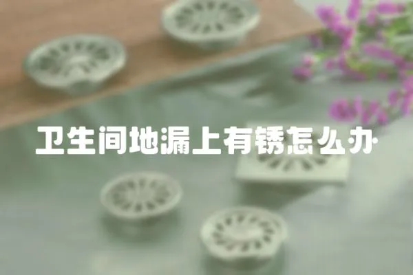 衛生間地漏上有銹怎么辦