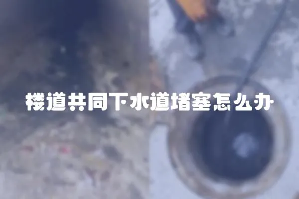 樓道共同下水道堵塞怎么辦