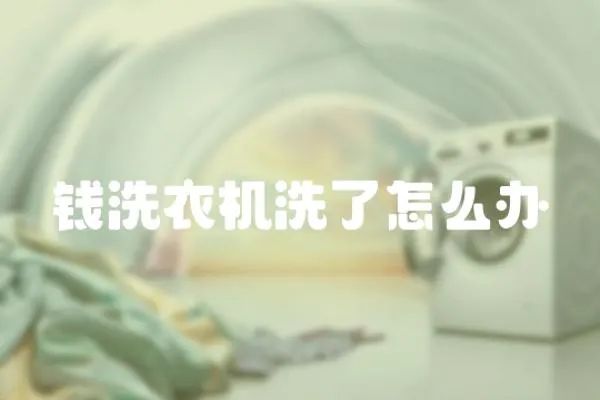 錢(qián)洗衣機(jī)洗了怎么辦