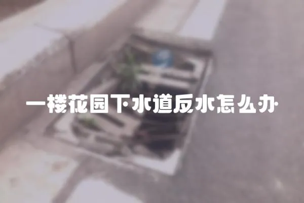 一樓花園下水道反水怎么辦