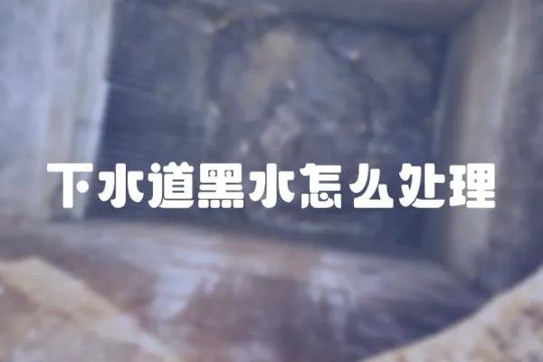 下水道黑水怎么處理