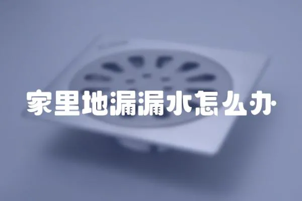 家里地漏漏水怎么辦