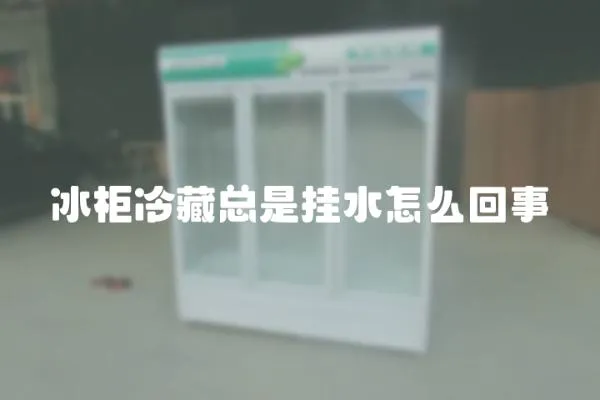 冰柜冷藏總是掛水怎么回事