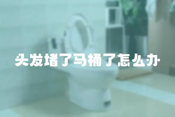 頭發堵了馬桶了怎么辦