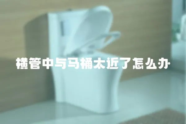 橫管中與馬桶太近了怎么辦