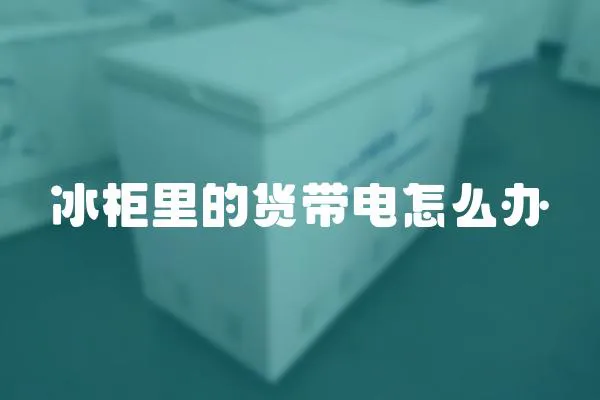 冰柜里的貨帶電怎么辦