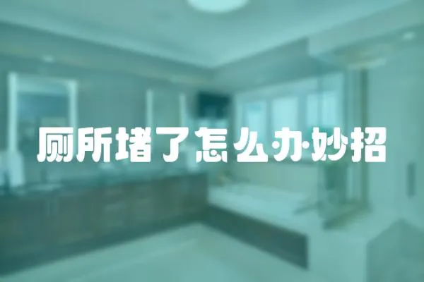 廁所堵了怎么辦妙招