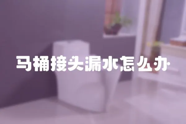 馬桶接頭漏水怎么辦