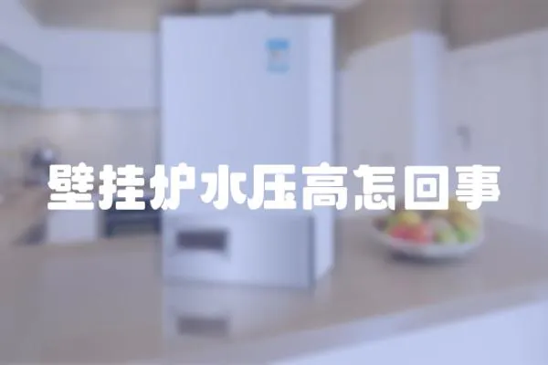 壁掛爐水壓高怎回事