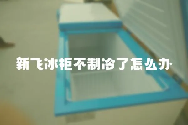 新飛冰柜不制冷了怎么辦
