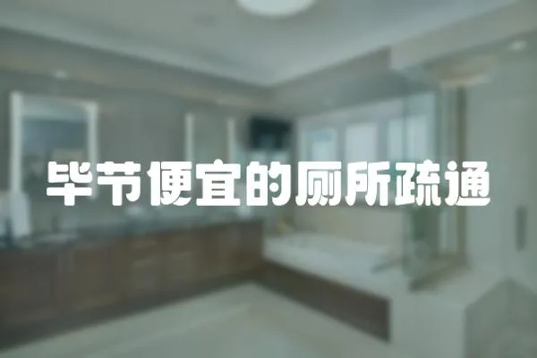 畢節便宜的廁所疏通