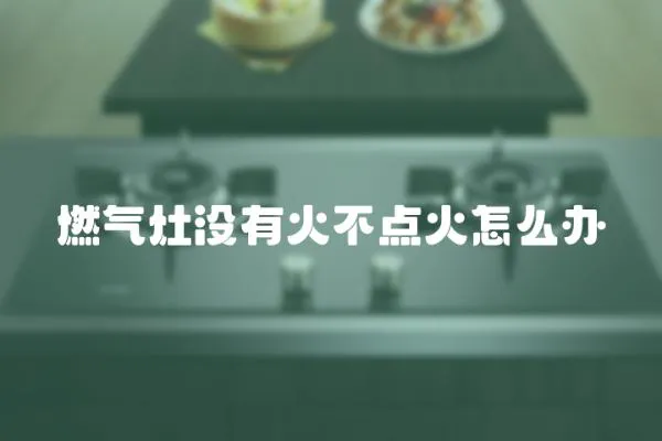 燃?xì)庠顩](méi)有火不點(diǎn)火怎么辦