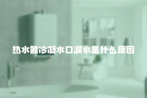 熱水器冷凝水口漏水是什么原因
