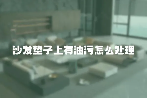 沙發(fā)墊子上有油污怎么處理