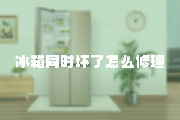 冰箱同時壞了怎么修理