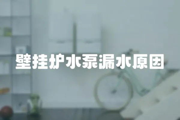 壁掛爐水泵漏水原因
