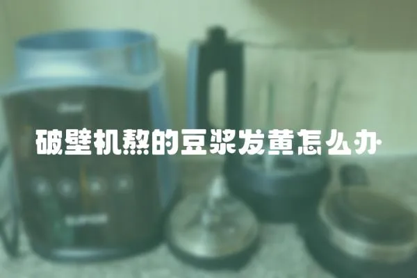 破壁機熬的豆?jié){發(fā)黃怎么辦