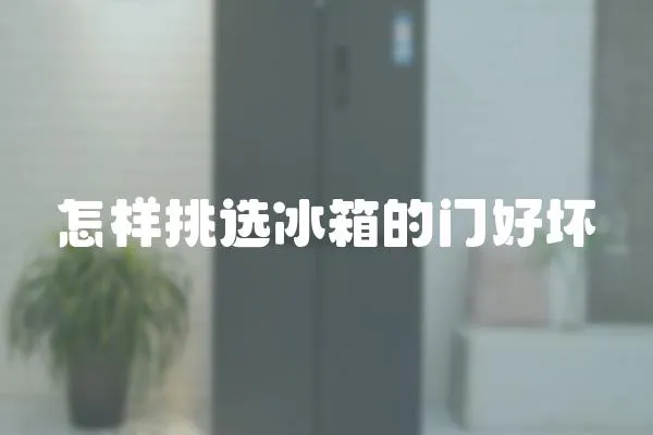 怎樣挑選冰箱的門好壞