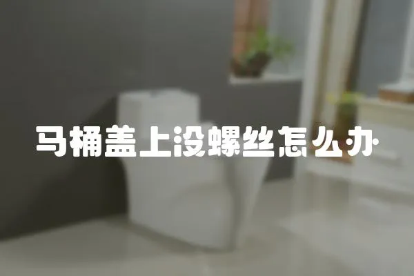 馬桶蓋上沒螺絲怎么辦