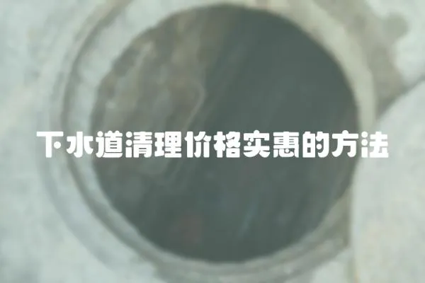 下水道清理價格實惠的方法