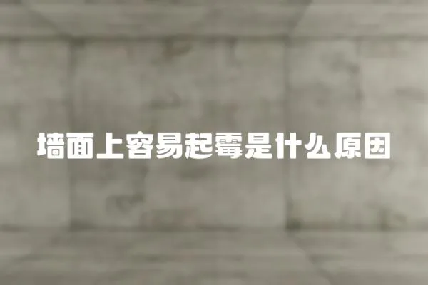 墻面上容易起霉是什么原因