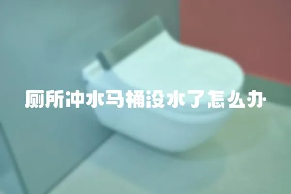 厕所冲水马桶没水了怎么办