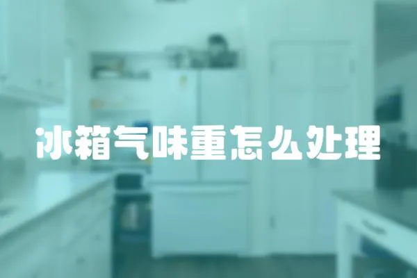 冰箱氣味重怎么處理