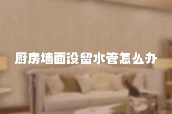 廚房墻面沒留水管怎么辦