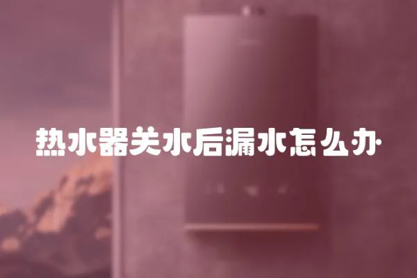 熱水器關(guān)水后漏水怎么辦