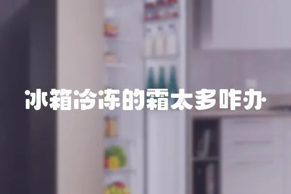 冰箱冷凍的霜太多咋辦