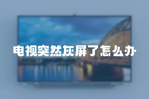 電視突然灰屏了怎么辦