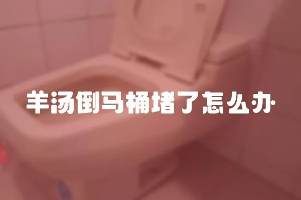 羊湯倒馬桶堵了怎么辦